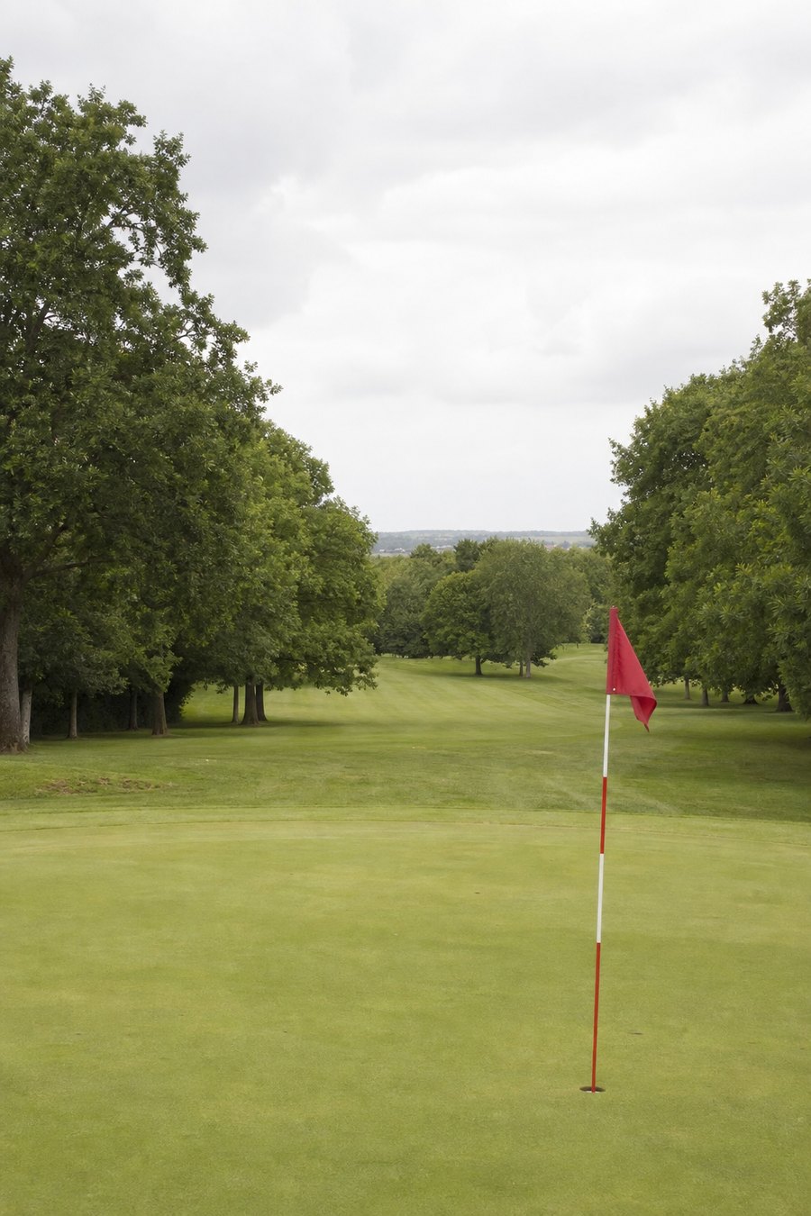 Green et drapeau sur le parcours de golf près de Niort